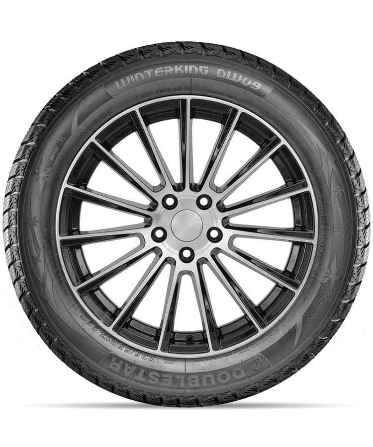 Doublestar DW09 цена